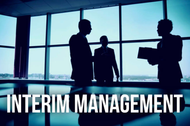 Interim Management Services l Trimitra Consultants Indonesia