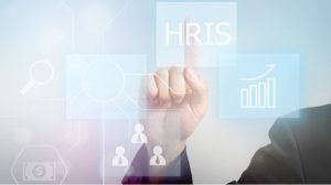 HRIS Consulting Services